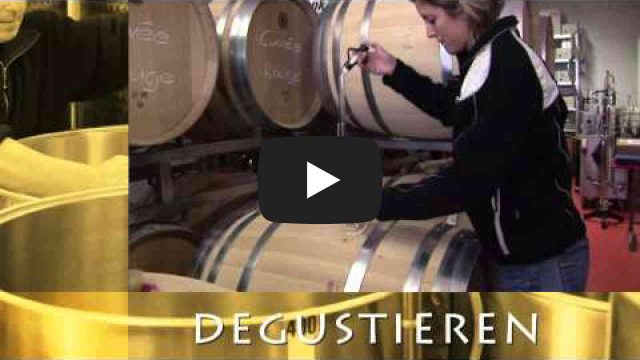 Ausbildungsberuf Winzer