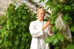 EUROPLANT Pflanzenzucht GmbH-