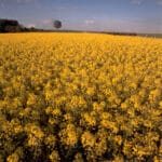 ACG Agrar-Control GmbH-