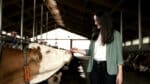 AGROTEL GmbH-