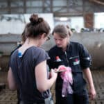 Semex Deutschland GmbH