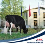 RBB Rinderproduktion Berlin-Brandenburg GmbH