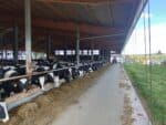 Agrarunternehmen Starbach-Sachsen eG
