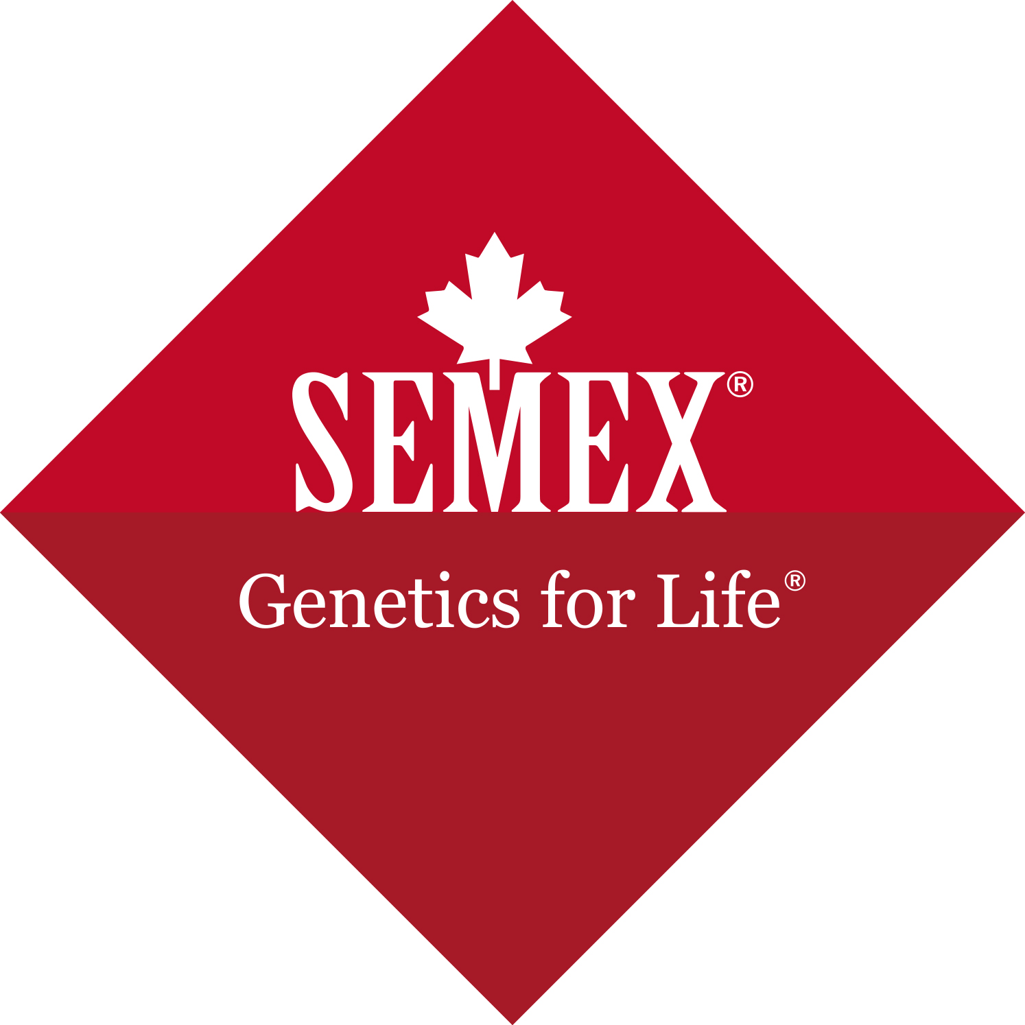 Semex Deutschland GmbH