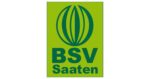 BSV Saaten