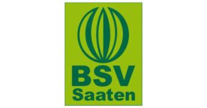BSV Saaten