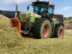 Leiter Pflanzenbau (m/w/d)-